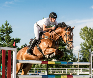Moyon Equitation - Centre Equestre