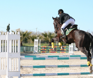 Moyon Equitation - Centre Equestre