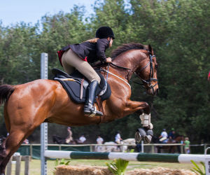Moyon Equitation - Centre Equestre
