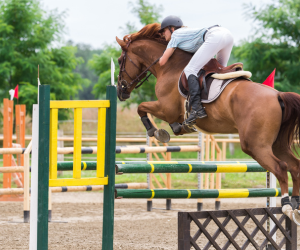 Moyon Equitation - Centre Equestre