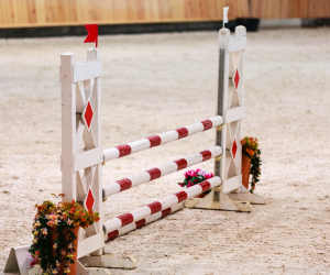 Moyon Equitation - Centre Equestre