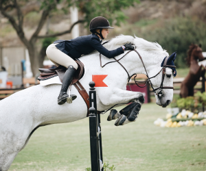 Moyon Equitation - Centre Equestre
