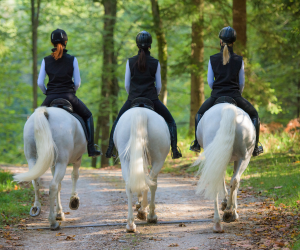 Moyon Equitation - Centre Equestre