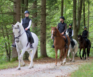 Moyon Equitation - Centre Equestre