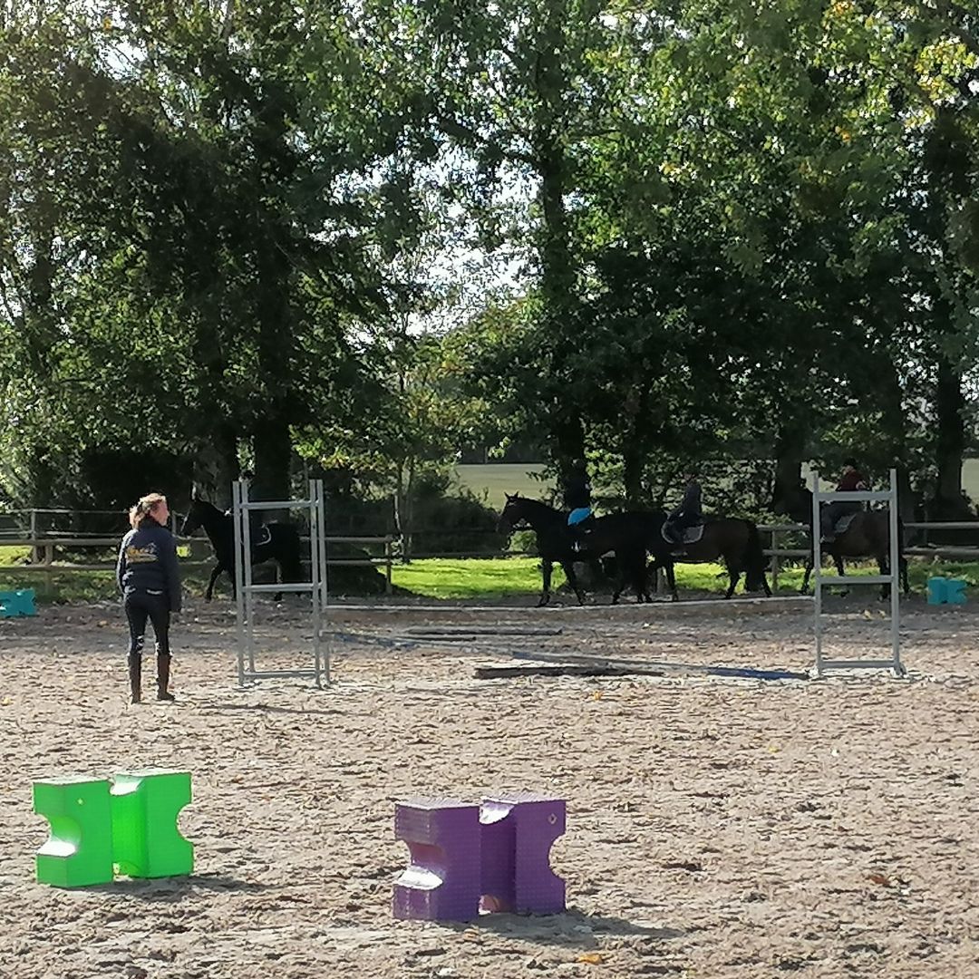 Moyon Equitation - Centre Equestre