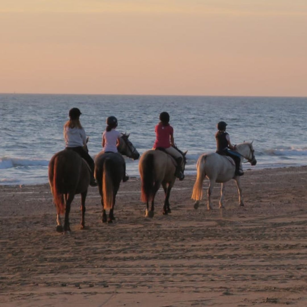 Moyon Equitation - Centre Equestre