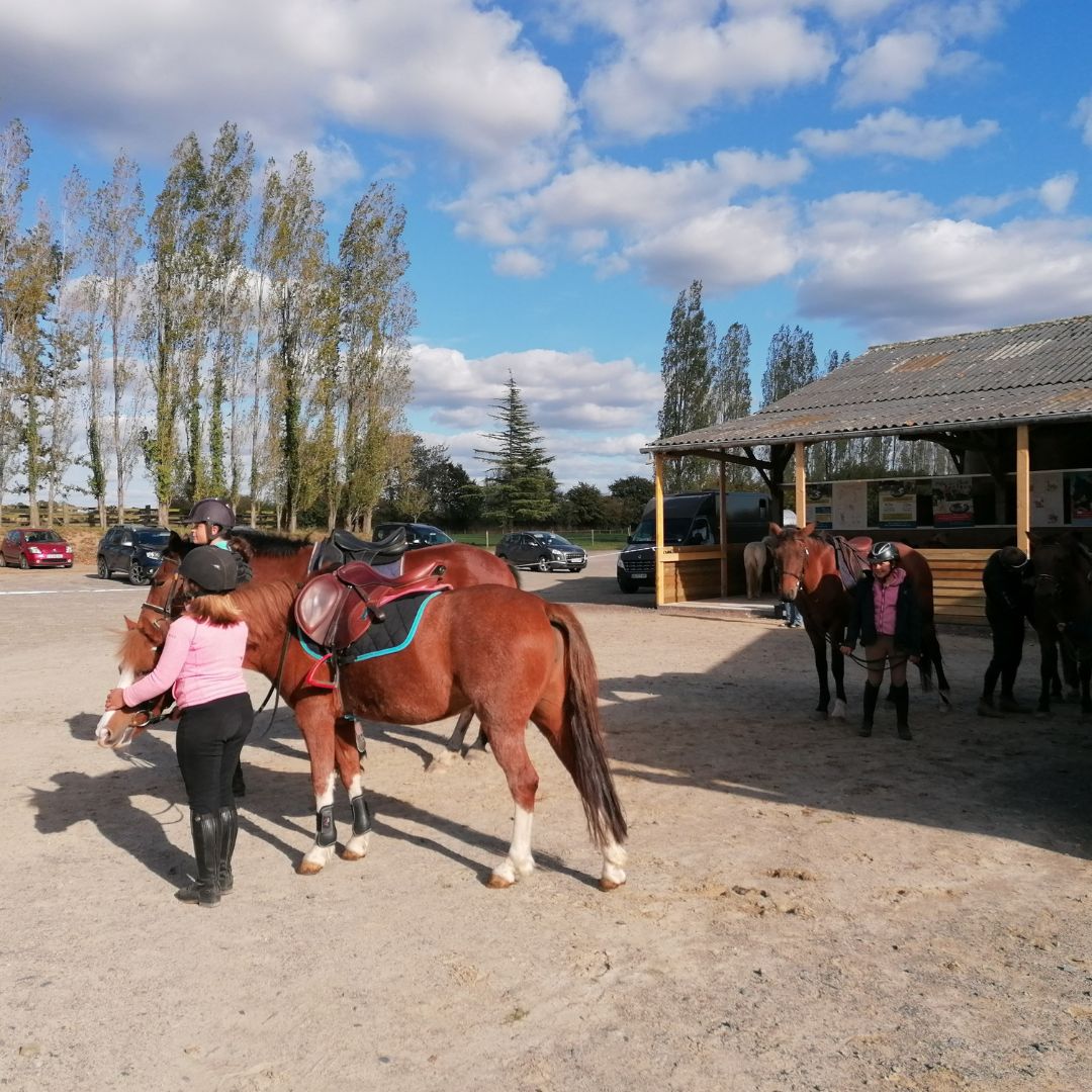 Moyon Equitation - Centre Equestre