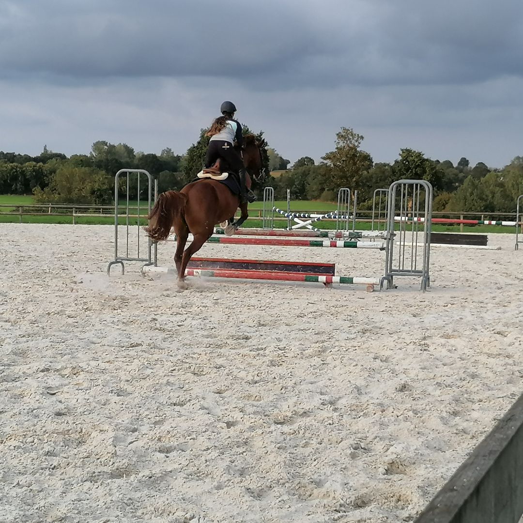 Moyon Equitation - Centre Equestre
