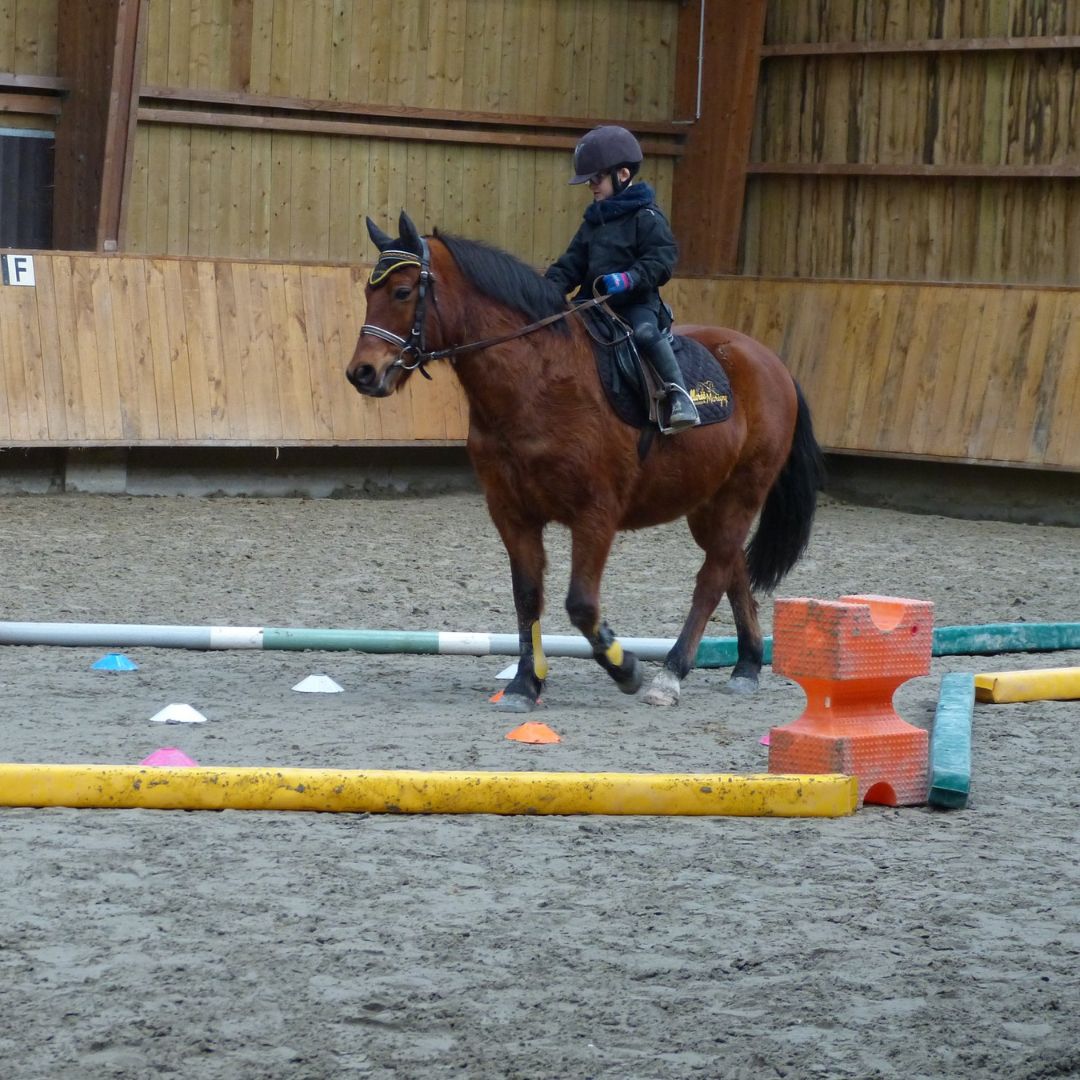 Moyon Equitation - Centre Equestre