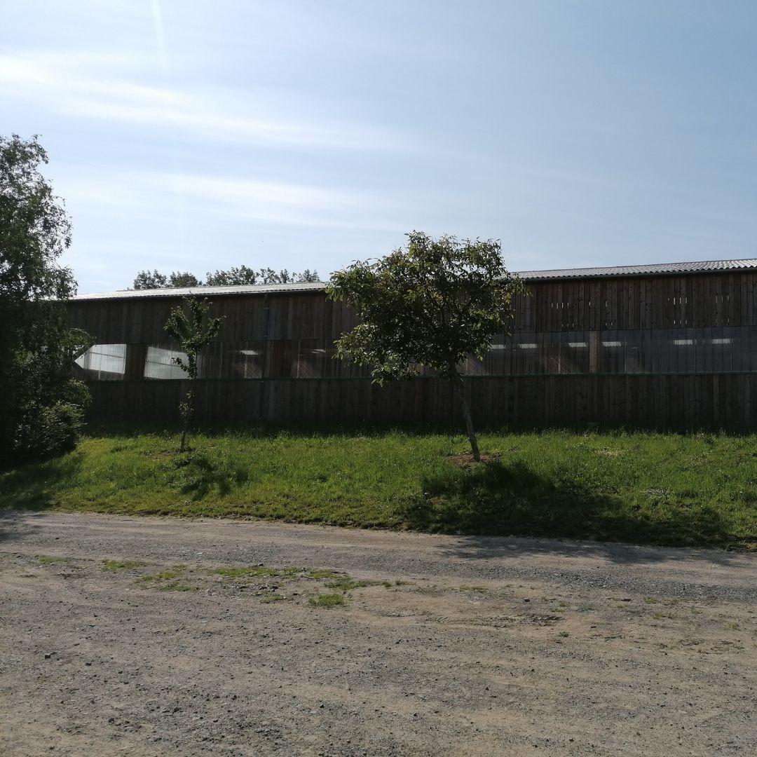 Moyon Equitation - Centre Equestre