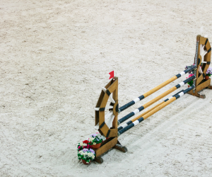 Moyon Equitation - Centre Equestre