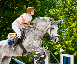 Moyon Equitation - Centre Equestre
