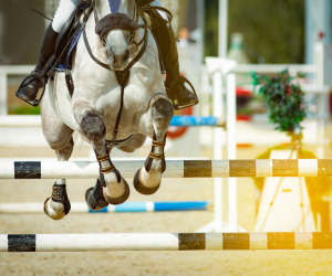 Moyon Equitation - Centre Equestre