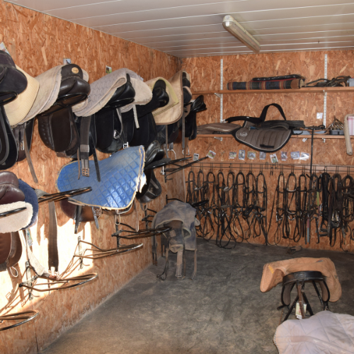 Moyon Equitation - Centre Equestre