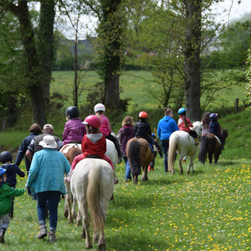 Moyon Equitation - Centre Equestre