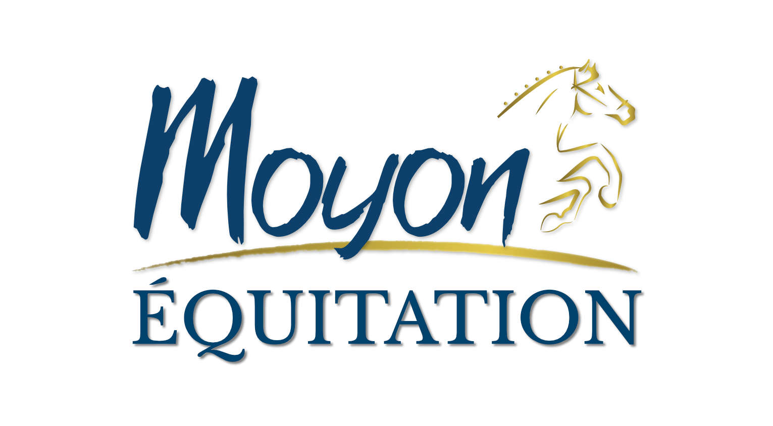 logo foncé