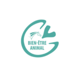 Moyon Equitation - Centre Equestre - Poney club - Saint-Lo - Manche