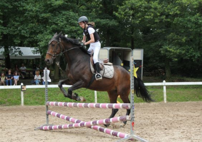 Moyon Equitation - Centre Equestre - Poney club - Saint-Lo - Manche