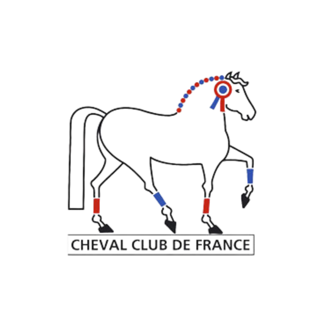 Moyon Equitation - Centre Equestre - Poney club - Saint-Lo - Manche